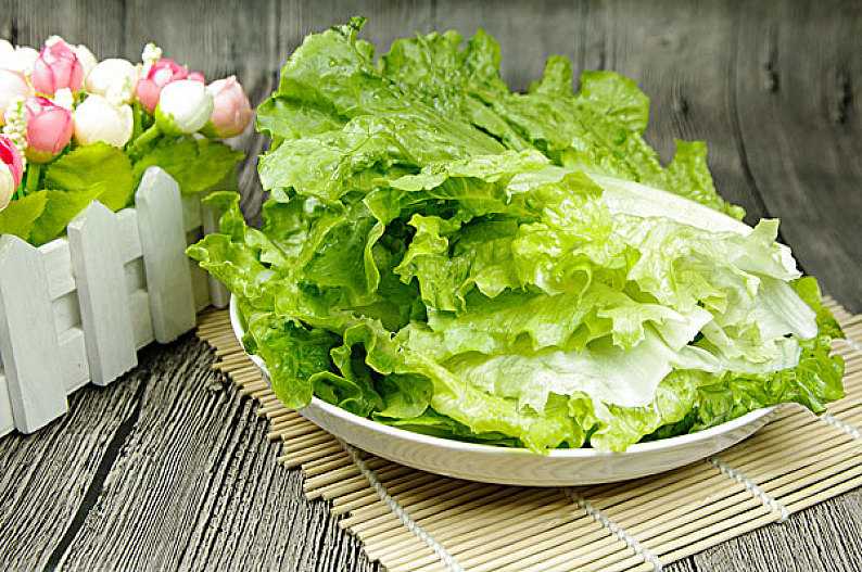 生菜