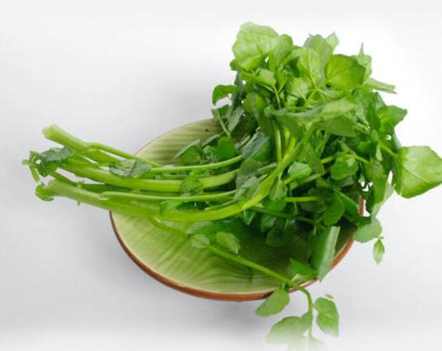 西洋菜