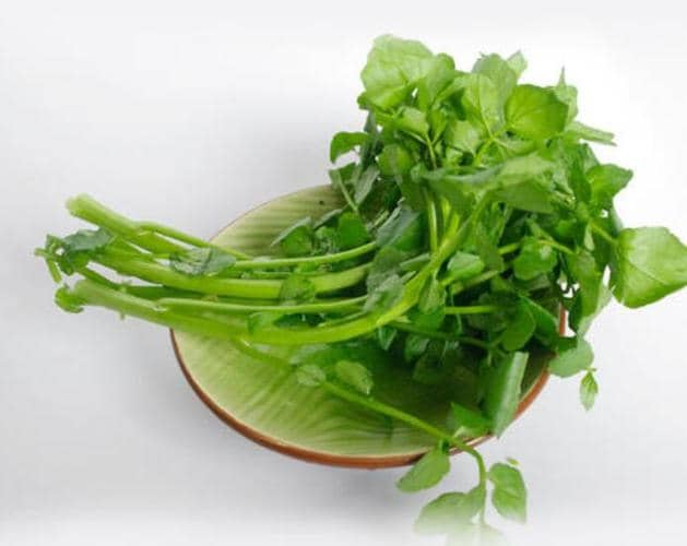西洋菜